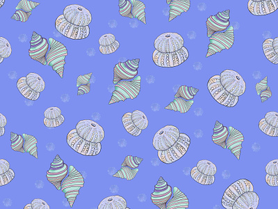 Shell pattern, illustration. background beach pattern blue color design hand drawn holliday pattern illustration lila pattern pattern design print design seamless seamless pattern shell shell pattern textile pattern watercolor