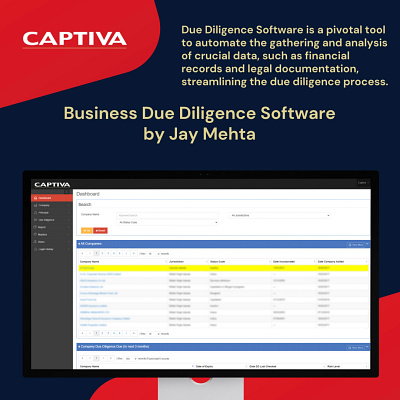 Business Due Diligence Software software development