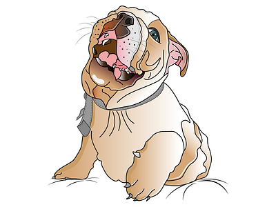 Vector cartoon bulldog portrait adobe illustrator animalportrait bulldogportrait cartoon potrait cat portrait dog portrait dog vector art graphic design illustration pet portrait vector vector dog vector portrait