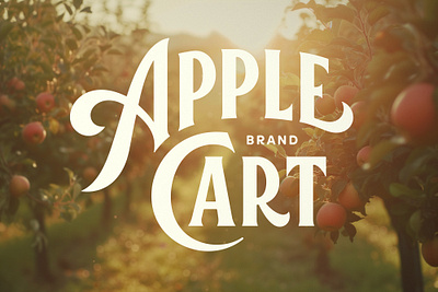 Apple Cart apple cider hand hand drawn lettering logo typography wordmark