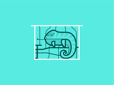 Iguana animal branding cameleon cayman design geometric graphic design home icon icon set iguana illustration logo pet pets vector wildlife