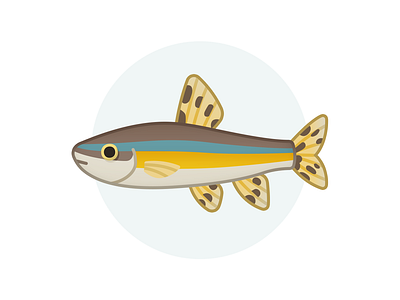 Splendidus 2d assetstore design fish game icon illustration