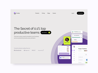 Website for Productivity Tool - Protally landing page design landingpage ui ui design web ui website design