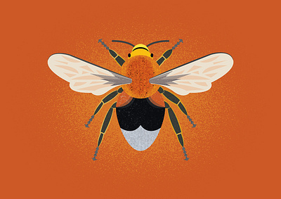 Buzz bee illustration illustrator texture vector