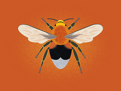 Buzz bee illustration illustrator texture vector