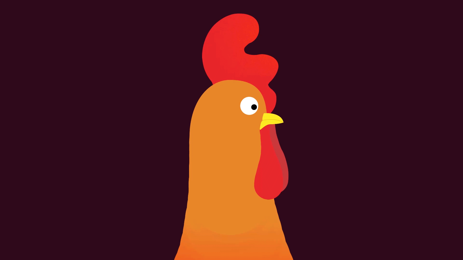 Rocking Chicken 2d 2danimation aftereffects animation illustration vector