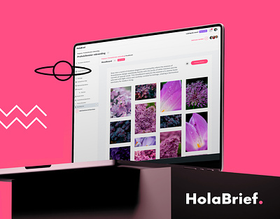 HolaBrief Dashboard app branding briefing dashboard design digital design graphic design icons illustration logo moodboard product design ui ux vector visual identity web