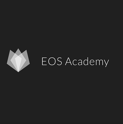 EOS Academy Logo Animation after effects animation eosacademy logo logo animation motion graphics pezhmanrajabimehr reveal