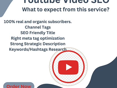 Professional YouTube Video SEO Service Provider youtube youtube channel create youtube marketing youtube promotion youtube seo youtube services youtube video youtube video seo service