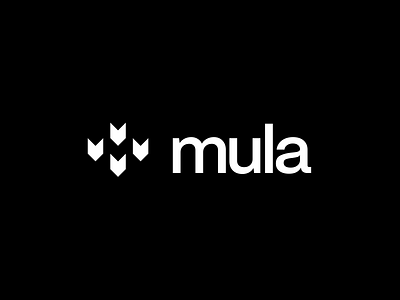 Mula Financial Brand & Web branding design landing page logo web design