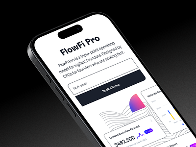 Fintech Marketing Website for FlowFi branding fintech flowfi ui website