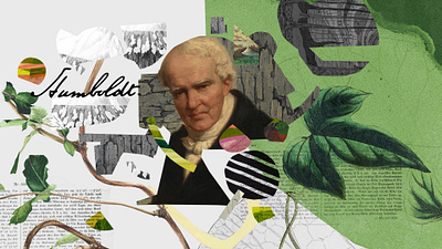 Von Humboldt / Beyond the Stream Screen Design 2d abstract animation art direction cool design illustration mapping motion graphics screen screendesign