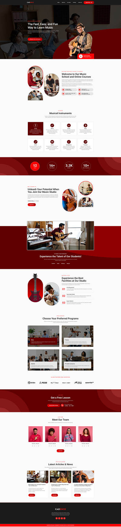 Music Lessons and School Website responsive website design