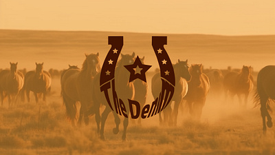 Logo for Denim abstract branding cowboy denim design emblem freedom graphic design horse illustration jeans logo logo design logotype mascot minimal nature star