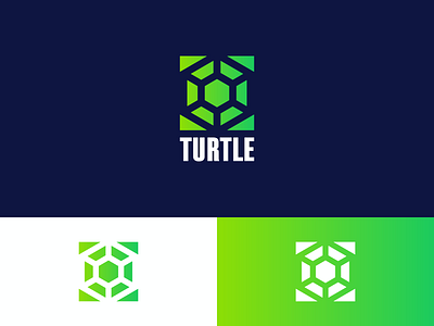 Turtle web company logo branding crystal design geometric graphic design logo turtle vector web web company