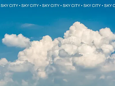 Design Concepts branding design graphic design illustration marketing