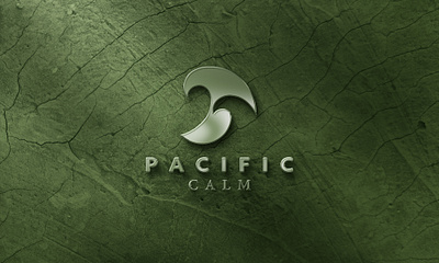 Pacific Calm Logo Branding branding graphic design logo mockups