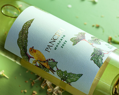 Panceri Moscato Wine Label beverage design label moscato spirit wine