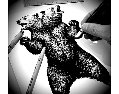 Por Osos Brand Mark Illustrated by Steven Noble animals artwork bear branding design engraving etching graphic design illustration line art logo pen and ink scratchboard steven noble woodcut