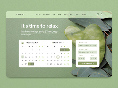 SPA salon | First screen concept calendar composition concept design graphic design ui ux uxui design web design website