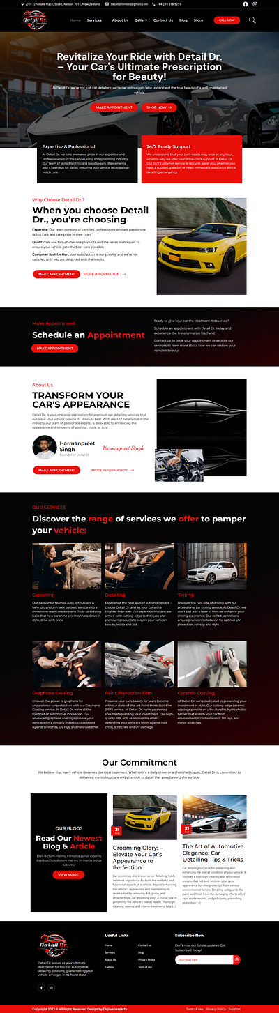 Car Detailing branding webdesigner