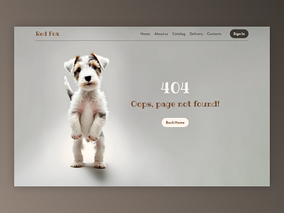 404 Page Design for ecom 404 page ecom figma interface design online store pets ui ux uxui design webdesign
