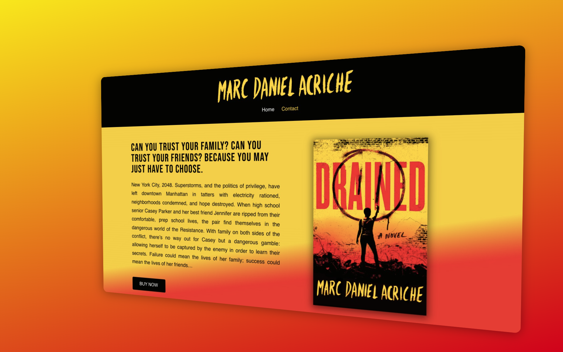 Example of Word Press Website Design With  Elementor