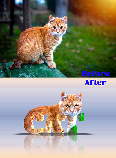 Cat Design 3d adobe photoshop design graphic design illustration photo