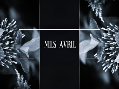 Nils Avril Lookbook branding graphic design lookbook photo editing photoshoot print design