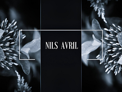 Nils Avril Lookbook branding graphic design lookbook photo editing photoshoot print design
