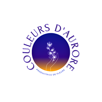 Couleurs d'Aurore brand identity branding graphic design logo ui web design