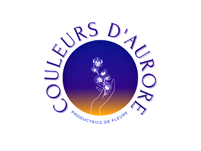 Couleurs d'Aurore brand identity branding graphic design logo ui web design