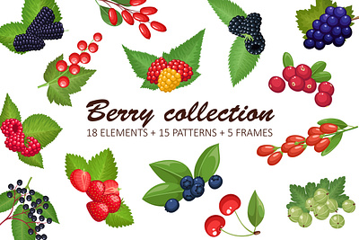 Berry Collection gooseberry