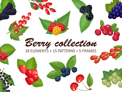 Berry Collection gooseberry