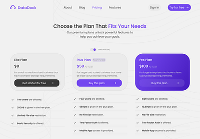 DataDock's Pricing Page cloud pricing ui