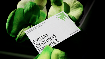 Exotic Orchard Harvest™ brand brand identity branding design graphic design identity illustration logo packaging typography vector visual