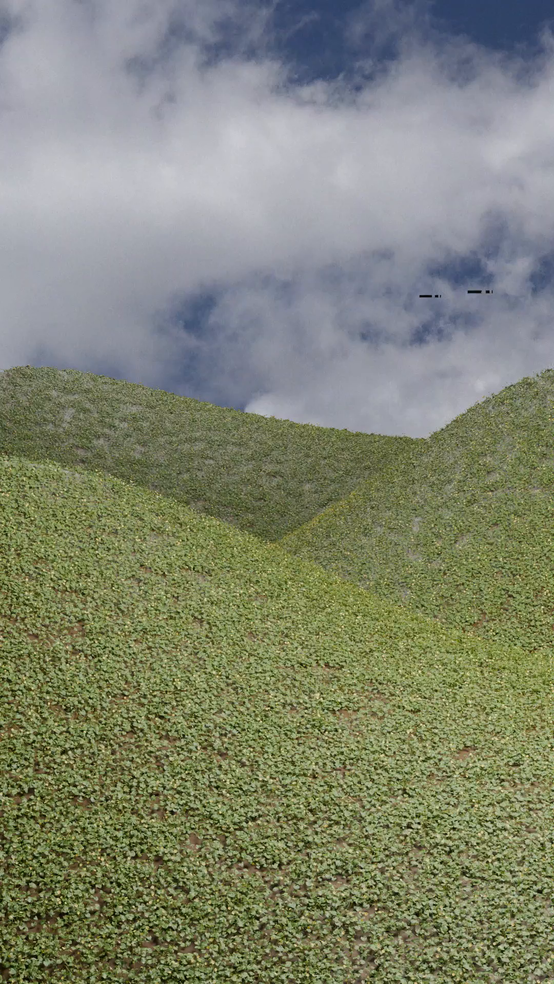 Example of Full Pipe Line Work From 3D To Adv