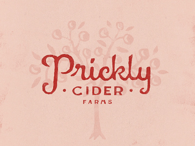 Prickly Cider Branding bold branding cider fun funny graphic design logo whimsical