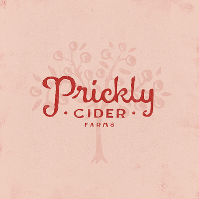 Prickly Cider Branding bold branding cider fun funny graphic design logo whimsical