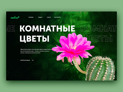 Indoor flowers (комнатные цветы) cactus design figma indoor flowers logo photoshop typography ui ux web design