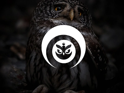 Logo VPN OWL app branding design graphic design illustration logo typography ui ux vector