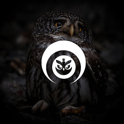 Logo VPN OWL app branding design graphic design illustration logo typography ui ux vector