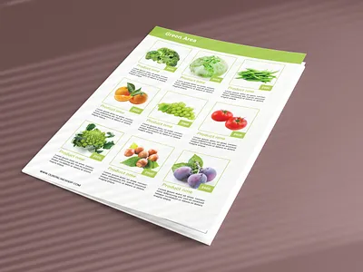 Catalog Design brand catalog catalogs design graphic design illustration