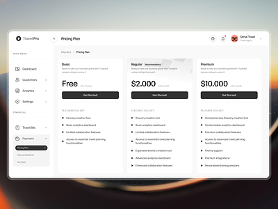 TravelPro Dashboard Pricing Page clean dasboard design landing page plan price plan pricing list ui uiux ux web design
