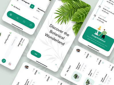 Blooming from the App Store: A Plant Shop Designed to Thrive botany app design eco friendly plant app gardening app uiux green app ui design houseplant app design indoor plant app design minimalist plant app design mobile plant shopping online plant store design pastel green plant app plant care app ui plant e commerce app plant identification app plant lover app design plant progress tracker ui plant shop app design succulent app design user centered plant app