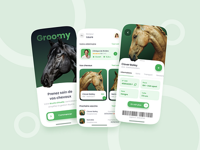 Groomy work proposition app green groomy horse mobile ui