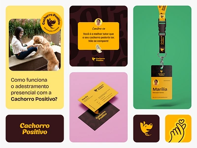 Cachorro Positivo - identidade visual brand brand design branding design design de logo design gráfico dog graphic design illustration logo logo design logodesign logotipo logotype marca pets ui