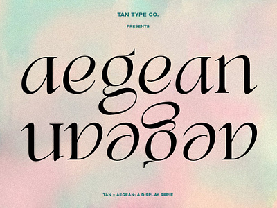 TAN - AEGEAN classic font classic serif display font display serif display type edgy font fashion fashion font fashionable font hipster font modern font modern serif modern typography retro font serif serif display serif font serif typeface tan aegean unique font