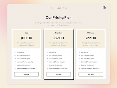 Pricing Plan UI Design branding graphic design pricingplan ui ux website