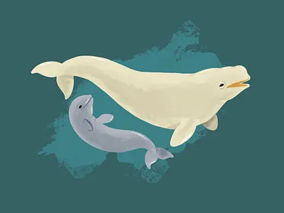 Beluga Mother & Baby (Childhood Toys) animal toy animals baby baby beluga beluga childhood dolphin illustration mother nostalgia ocean procreate toys underwater whale